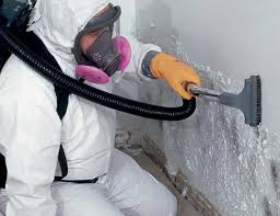 Environmental Consulting for Mold Prevention in Shandon, CA